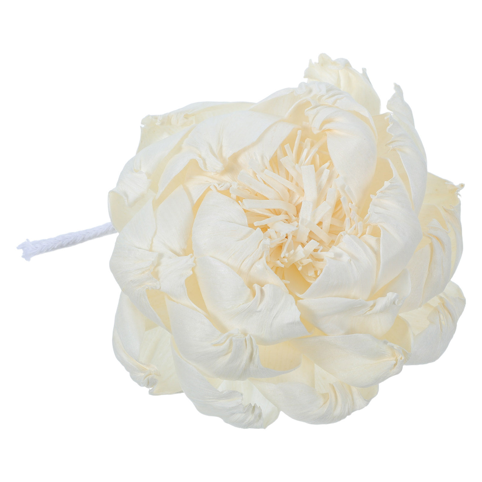 Peony Head Fragrance Diffuser  - Home Fragrance Usa review and price