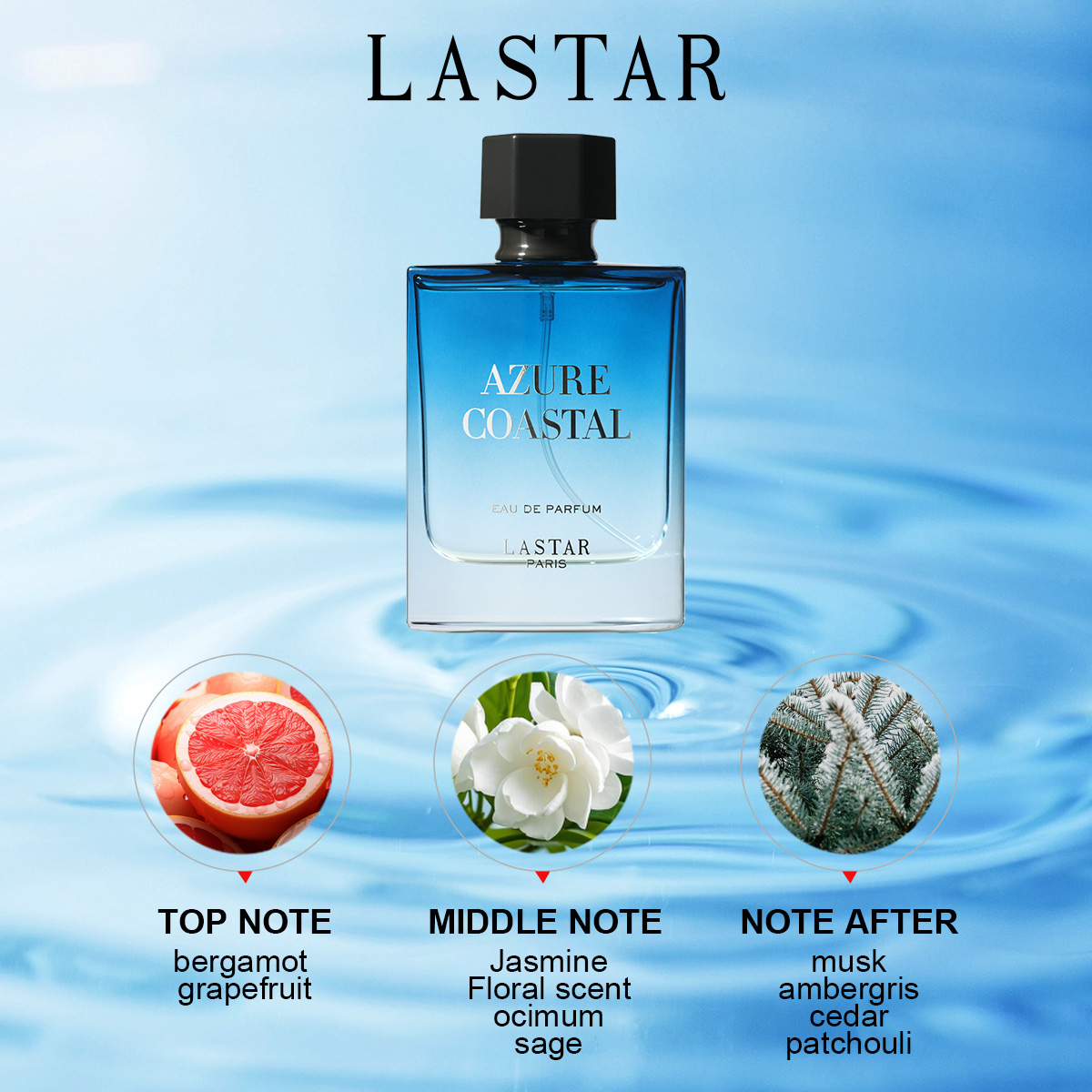 LASTAR Men Perfume, Two Bottle - Home Fragrance Gift review and price
