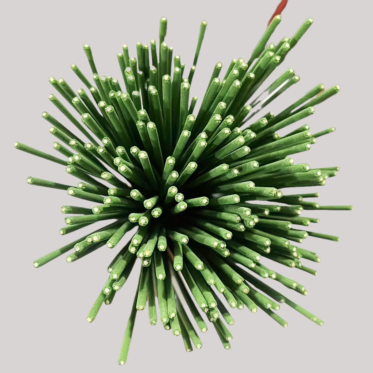 Reed Diffuser Sticks Lemongras - Home Fragrance Best review and price